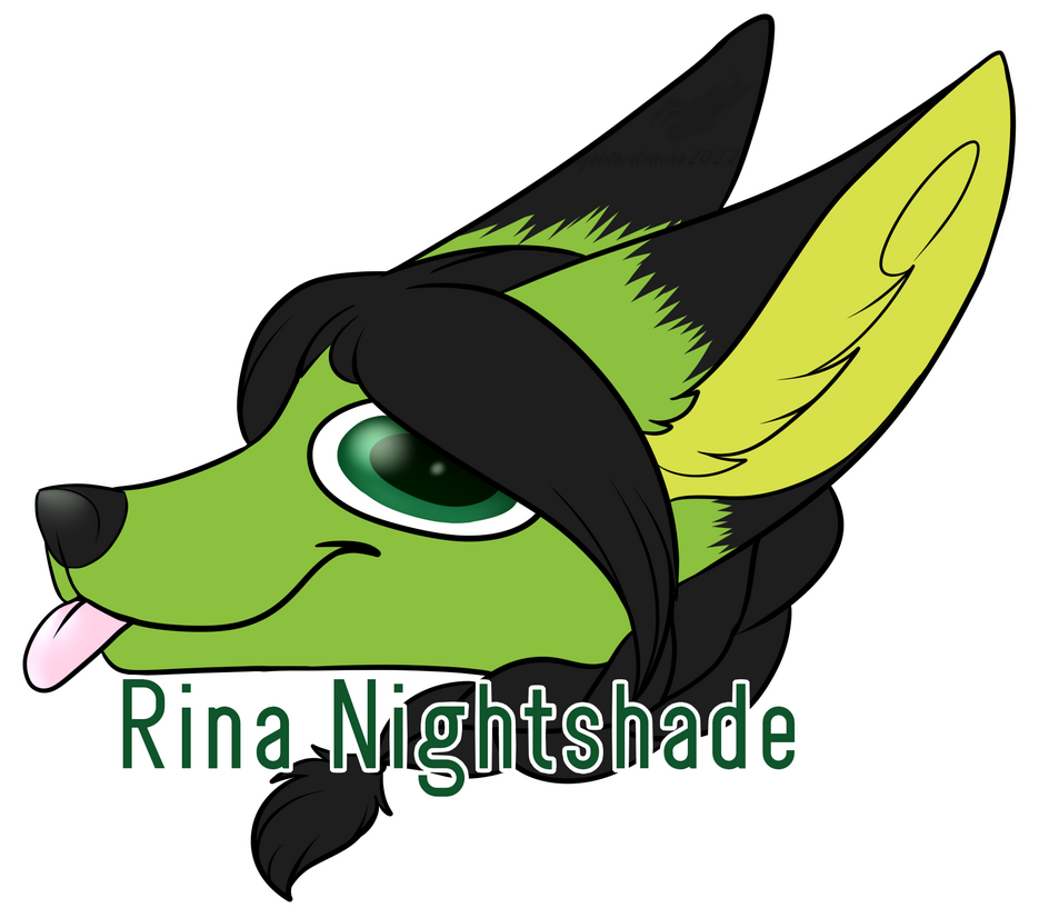 2020 derp headshot